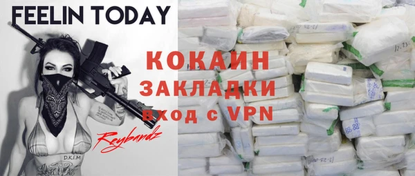 индика Белокуриха