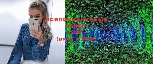 индика Белокуриха