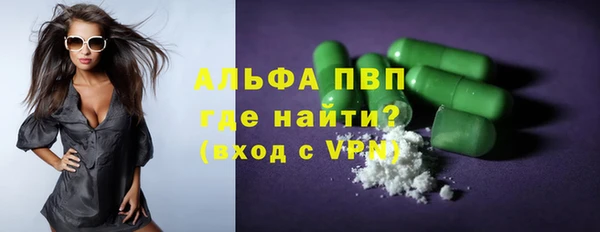 индика Белокуриха