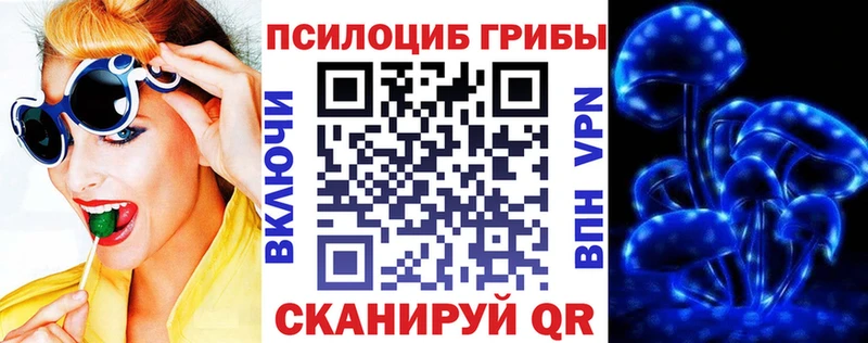 Галлюциногенные грибы MAGIC MUSHROOMS  Макаров 